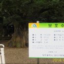 비래골경로당 이미지