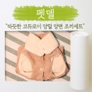 펫델 네이버블로그