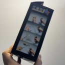 이오메디칼 이미지