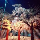 김해생림오토캠핑장 이미지