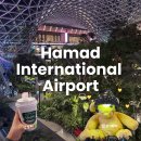 성호공원(2구역) 식물원 옆 화장실 | 카타르 도하 하마드 국제공항 경유 후기 오차드 식물원 슬립 라운지 카페