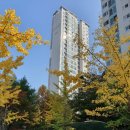 판교원로 이미지