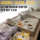 21그램반려동물장례식장남양주점 | 똥글이 소풍간 날 "21그램 (21gram) 광주 1호점 반려동물 장례식장"