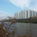 애니카프라자 이미지