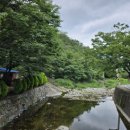 돌티미식당 이미지