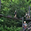 더불어숲 이미지