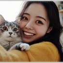 펫퍼스트 24시 강아지분양 고양이분양 파주운정점 이미지