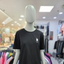 313 이미지