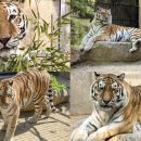 서울대공원 이미지