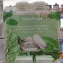 아이디얼라인 이미지