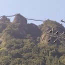 대항마마펜션 이미지