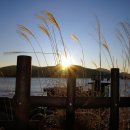 황청리소공원 이미지