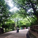 성주암 | 석가탄신일 관악산 성주암 가서 절밥먹고 옴 (가는법, 부처님오신날)