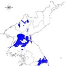 한반도 Daum카페