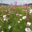 길주공원 이미지