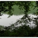 세천3로 이미지