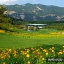 아주회원권거래소