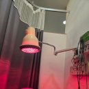 서귀포약손한의원 이미지