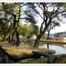 순흥면 보건지소 이미지