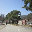 은티농장 이미지