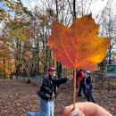 계산1동부내경로당 | [미동부 캐나다 패키지 10일 간단 요약]선택관광 , 일정 , 준비물 ,10월 옷차림(참좋은여행)