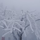 내일봬요 이미지