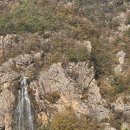 원골 | 🐟 금산 30년 전통 원골식당 방문 후기 안녕하세요! 충남 금산의 30년 전통 원골식당