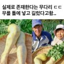 [유머] 빵터지는 유머~♬ ♬ ♬ 이미지