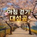 광명G타워 | 안양천 벚꽃 만개, 금천구청역에서 광명 G타워까지 아침 걷기