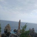 다온 행정사 이미지