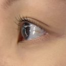 대전느리울초교 | 대전 관저동 소월아이래쉬 속눈썹펌 후기