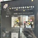 파피에르콜레