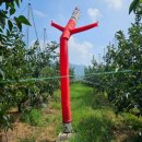 단감농장 이미지