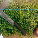 에이티에잇(88) 이미지