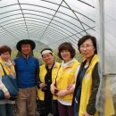 팔조령영농조합법인 이미지