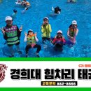 힘차리 태권도장 이미지