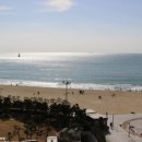 부띠크 엘리시아 이미지