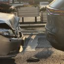 밀감센트럴호텔 | 상하이 여행기록 1탄ㅣ콘래드ㅣ숙소ㅣ번드뷰 업그레이드ㅣ입국신고서 작성법