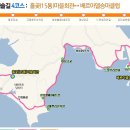 홍정희효자문 이미지