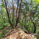 씨유 양평세미원점 | 춘천 신북읍 수리봉(656.7m): 춘천 소양강과 화천 북한강이 만나는 뷰가 가장 멋진 산(용화산 앞산) ㅡ...