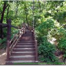 동백호수공원 이미지