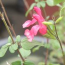 가양지역아동센터 이미지