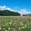 코스모스메디칼 이미지