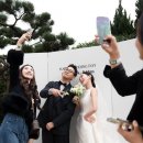 개꿀하우스 이미지