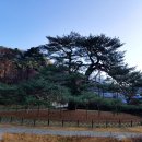 지방도352호 네이버블로그