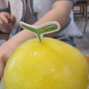 화명장어조개숯불구이 이미지