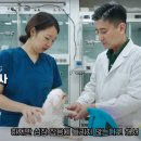 에스디(SD)동물의료센터,서울 이미지