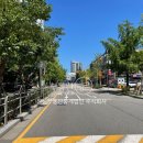 대한부동산중개법인주식회사 이미지