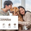 국민토탈서비스 이미지