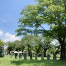 유당공원 내 비군 이미지